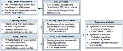 Exploring the Interobserver Agreement in Computer-Aided Radiologic Tumor Measurement and Evaluation of Tumor Response